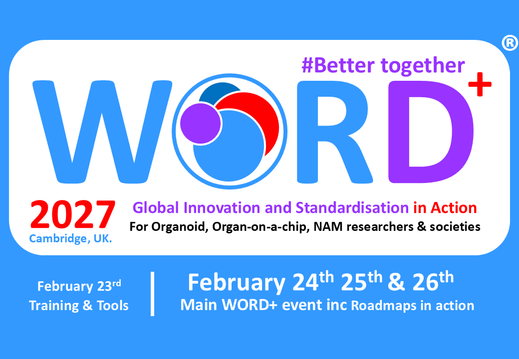 WORD+2027